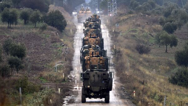 土媒：埃尔多安向马克龙表示，土耳其愿派兵加沙 - 俄罗斯卫星通讯社