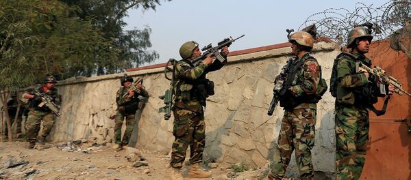 阿富汗安全力量 阿富汗安全力量 - 俄罗斯卫星通讯社