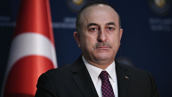 土耳其外长：针对土耳其的威胁将导致混乱 - 俄罗斯卫星通讯社