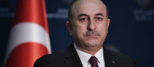 土耳其外长 - 俄罗斯卫星通讯社
