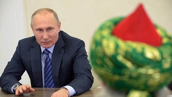 普京高度评价俄罗斯穆斯林国际活动 - 俄罗斯卫星通讯社