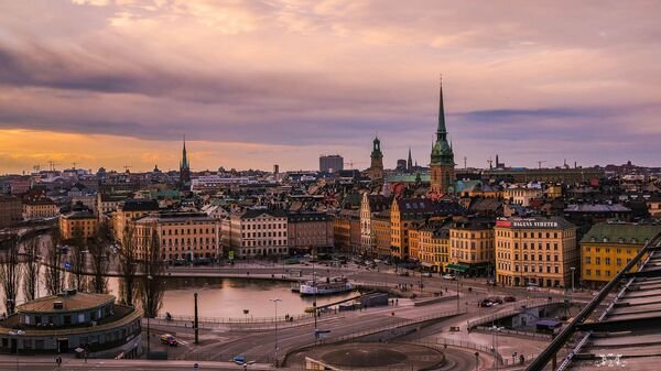 瑞典国防大臣：瑞典在2028年前无法决定是否参与未来空战系统项目 - 俄罗斯卫星通讯社