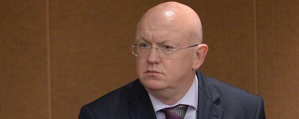 瓦西里∙涅邊賈 - 俄羅斯衛星通訊社