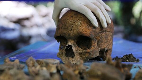 以色列洞中颌骨或将人类历史“延长”10-20万年 - 俄罗斯卫星通讯社