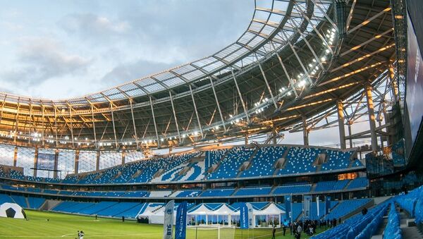 莫斯科迪拿摩体育场 - 俄罗斯卫星通讯社