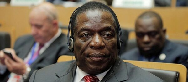 津巴布韦总统将于2019年1月15日访问莫斯科 - 俄罗斯卫星通讯社