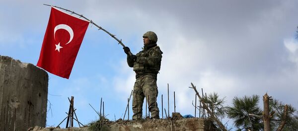 土耳其大學生受“橄欖枝行動”啓發開發手機遊戲 - 俄羅斯衛星通訊社