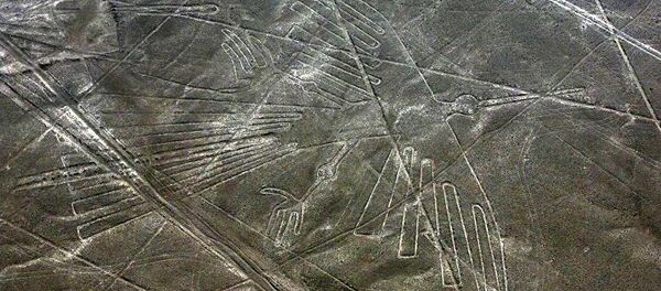 纳斯卡线 - 俄罗斯卫星通讯社