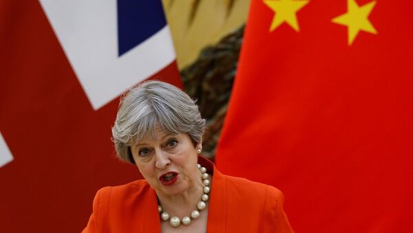 英国首相特蕾莎·梅：中英两国将加强在治理集团犯罪方面的合作 - 俄罗斯卫星通讯社