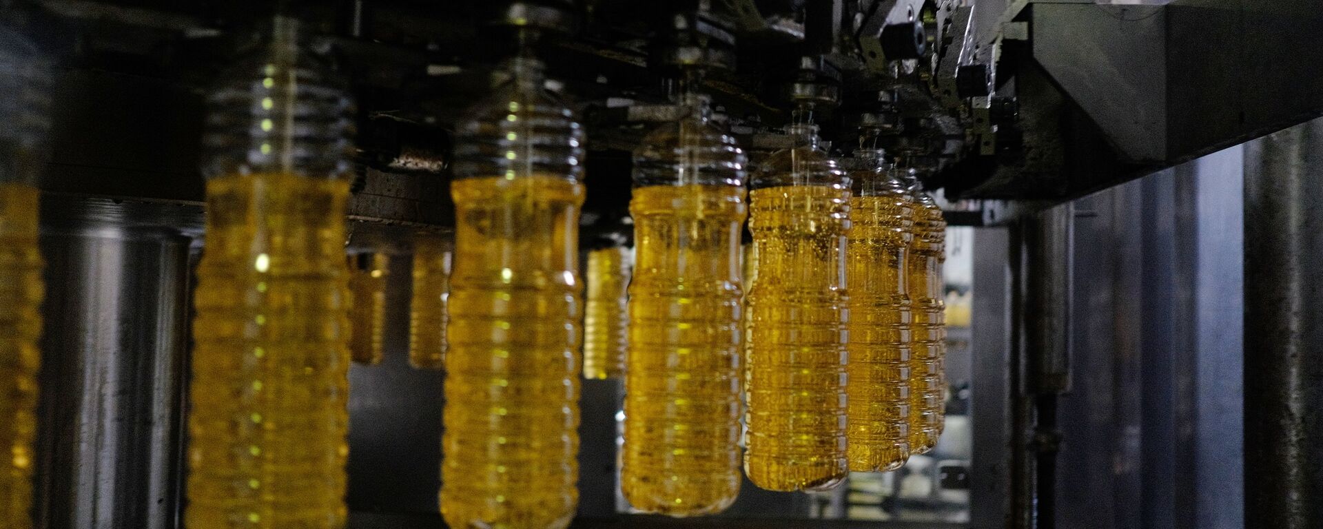 对华油料出口，包括菜籽油、豆油和葵花籽油的出口呈积极趋势，中国对俄罗斯豆类和油料作物的需求量不断增加 - 俄罗斯卫星通讯社, 1920, 22.09.2023