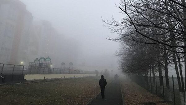 俄罗斯克麦罗沃遭遇重度雾霾锁城 - 俄罗斯卫星通讯社