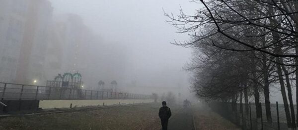 俄罗斯克麦罗沃遭遇重度雾霾锁城 - 俄罗斯卫星通讯社