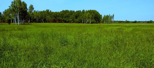 獲得遠東一公頃土地的俄羅斯公民已超過3.5萬人 - 俄羅斯衛星通訊社