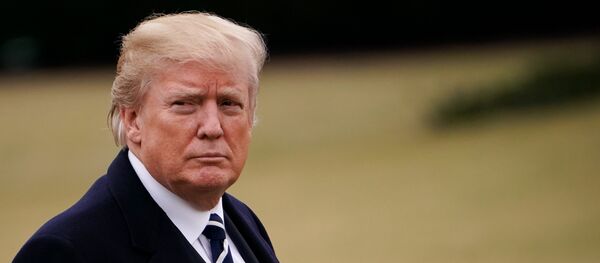 US President Donald Trump walks across the South Lawn upon return to the White House - 俄羅斯衛星通訊社