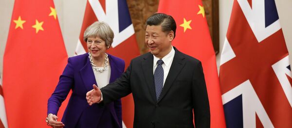 专家：美国劝阻英国远离“丝绸之路” - 俄罗斯卫星通讯社