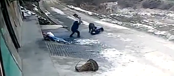 中國網站上出現一名退休工人被野豬襲擊的視頻 - 俄羅斯衛星通訊社