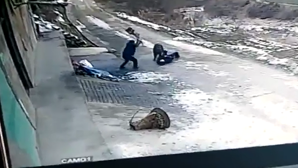 中国网站上出现一名退休工人被野猪袭击的视频 - 俄罗斯卫星通讯社