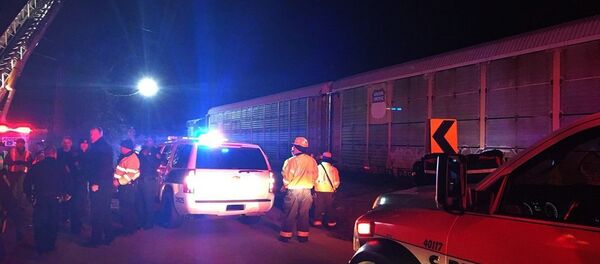 美国南卡罗来纳州发生的铁路交通事故造成2人死亡 116人受伤 - 俄罗斯卫星通讯社