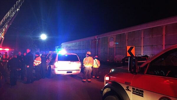 美国南卡罗来纳州发生的铁路交通事故造成2人死亡 116人受伤 - 俄罗斯卫星通讯社