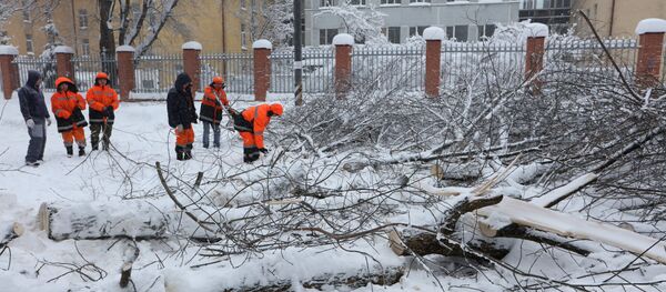 Снегопад в Москве - 俄罗斯卫星通讯社