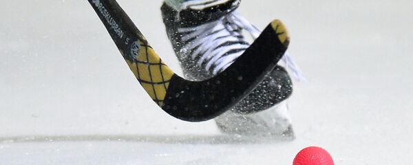 冰球 - 俄羅斯衛星通訊社