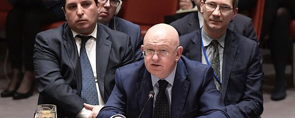 瓦西里∙涅邊賈 - 俄羅斯衛星通訊社