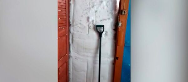 萨哈林大雪封门 不铲雪出不了屋 - 俄罗斯卫星通讯社