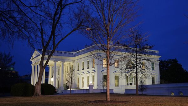 The White House in Washington, DC - 俄罗斯卫星通讯社