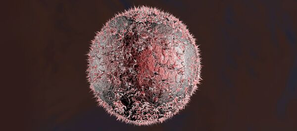 科学家们介绍何种食物有助于预防癌症 - 俄罗斯卫星通讯社