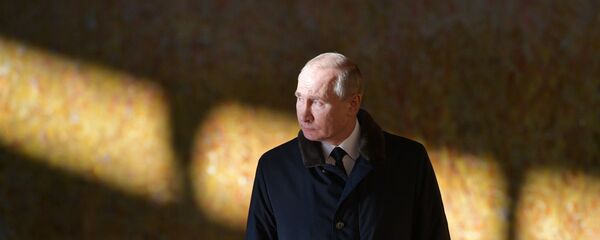 普京對特朗普提議協助調查安-148客機空難事故表示感謝 - 俄羅斯衛星通訊社