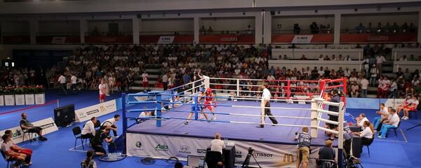 普京：俄在世界體壇和大型賽事主辦方面仍是領先者 - 俄羅斯衛星通訊社