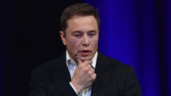 Billionaire entrepreneur and founder of SpaceX Elon Musk - 俄罗斯卫星通讯社