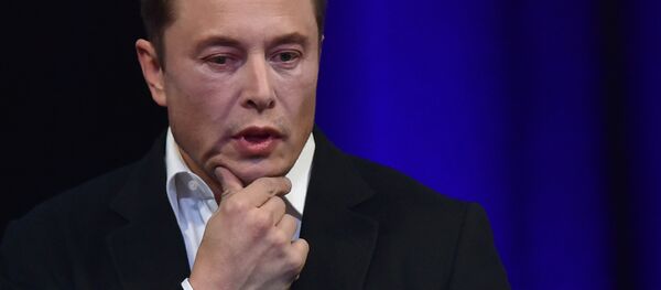 美國空間探索技術公司（SpaceX）創始人埃隆·馬斯克 - 俄羅斯衛星通訊社