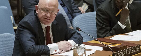 瓦西里∙涅边贾 - 俄罗斯卫星通讯社