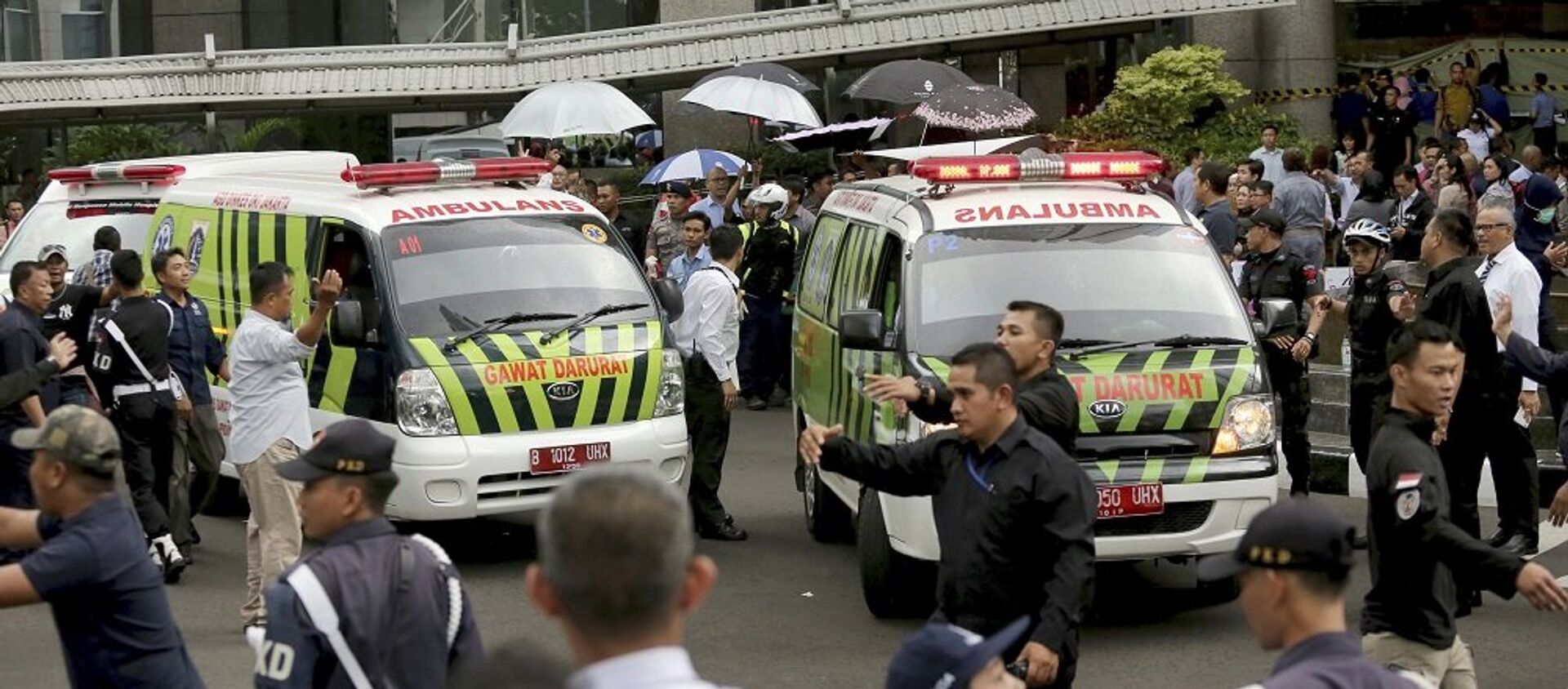 媒體：印尼發生公共汽車交通事故 造成至少27人死亡 - 俄羅斯衛星通訊社, 1920, 11.02.2018