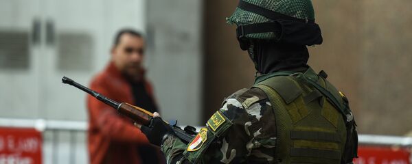 埃及軍方在西奈半島北部消滅13名恐怖分子 - 俄羅斯衛星通訊社