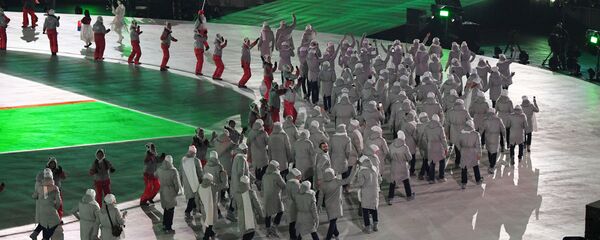 国际奥委会执委会决定冬奥会闭幕式前暂不恢复俄罗斯会员资格 - 俄罗斯卫星通讯社