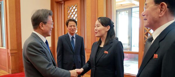 朝鲜代表团与韩国总统的会谈 朝鲜代表团与韩国总统的会谈 - 俄罗斯卫星通讯社