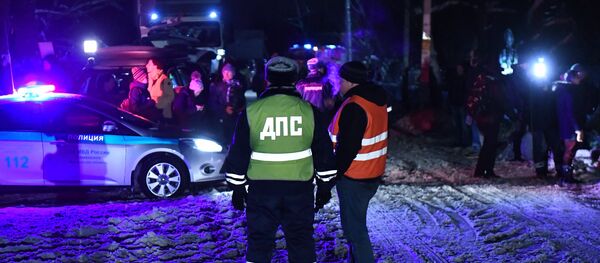 Крушение пассажирского самолета в Московской области - 俄罗斯卫星通讯社