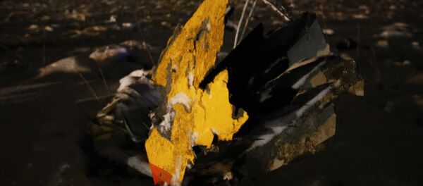 俄侦委称安-148客机坠机后才发生爆炸 - 俄罗斯卫星通讯社