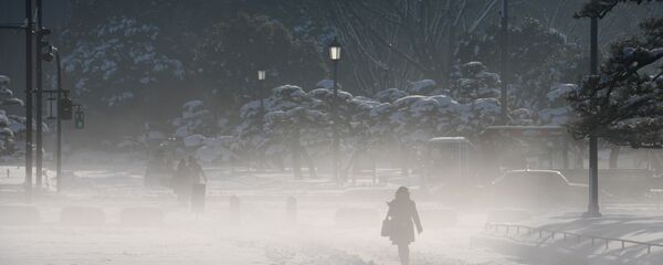 日本大雪 - 俄羅斯衛星通訊社