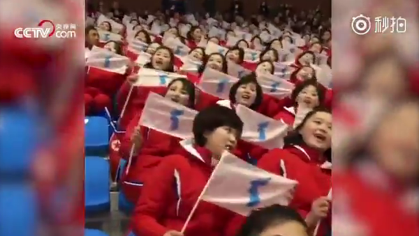 朝鮮拉拉隊吸引冬奧觀眾眼球（視頻） - 俄羅斯衛星通訊社
