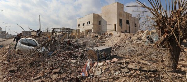 俄外交部：俄罗斯与土耳其已确定叙伊德利卜非军事区的边界 - 俄罗斯卫星通讯社