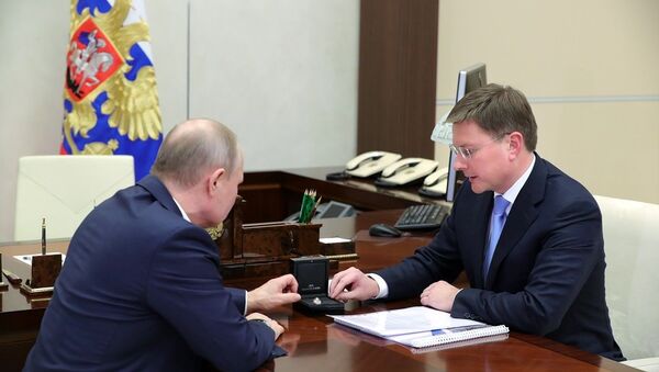 普京向俄埃罗莎公司总裁了解本土开采的稀有钻石 - 俄罗斯卫星通讯社