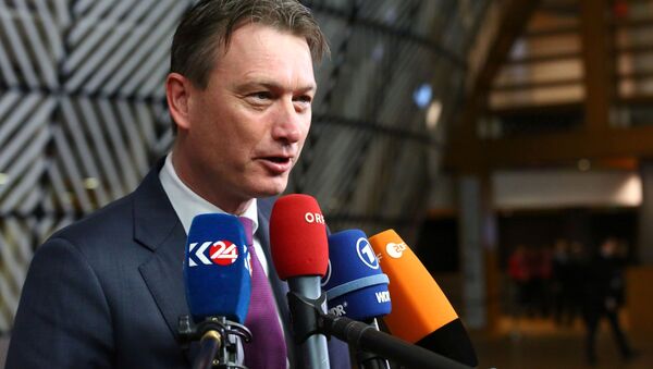 荷蘭外長因捏造普京言論引咎辭職 - 俄羅斯衛星通訊社