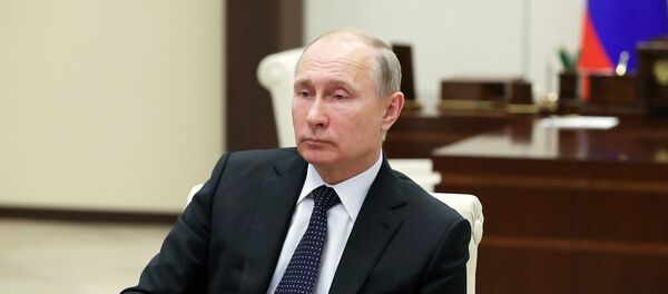 普京：2017年俄罗斯极端主义犯罪数量增长近5% - 俄罗斯卫星通讯社