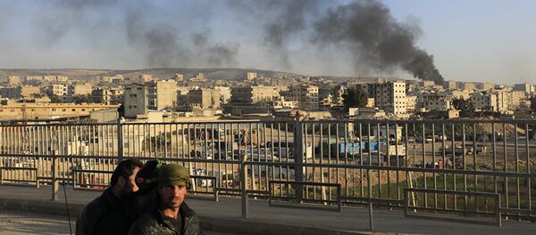 阿夫林 阿夫林 - 俄罗斯卫星通讯社