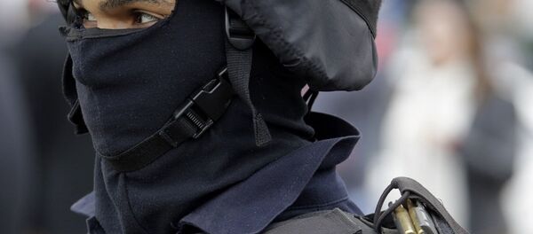 埃及警察 - 俄罗斯卫星通讯社