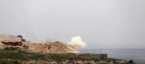 叙阿夫林 - 俄罗斯卫星通讯社