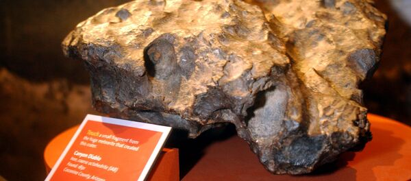 美国亚利桑那州一块远古时期陨石以23.75万美元拍出 - 俄罗斯卫星通讯社